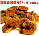 純国産アウトレット霊芝 200gB品