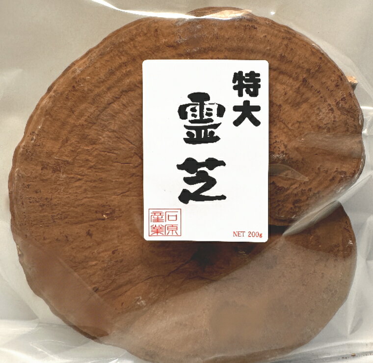 楽天市場】サルノコシカケ 霊芝の通販 楽天市場】サルノコシカケ 霊芝の通販