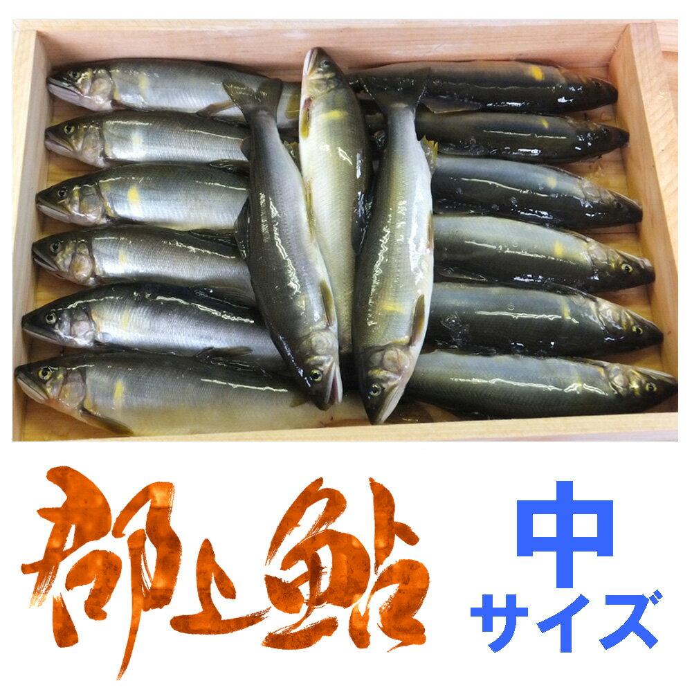 極۴츩ԡĹŷ尾ϤȰ仺ˤǧꤵ줿ĹΰסԲġ