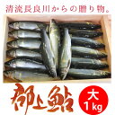 郡上鮎
