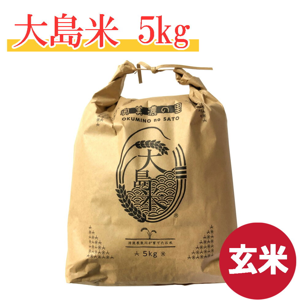 《玄米》岐阜県産コシヒカリ・大島米 令和4年産 5kg入り おかずなしでも美味しい！お冷ご飯にすると違いがわかります