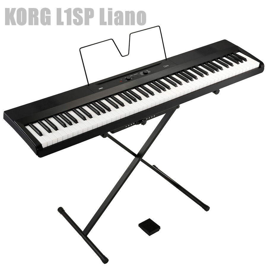 dqsAm 88Ձ@KORG L1SP Liano BLACK RO X^X^h Zbg r[T