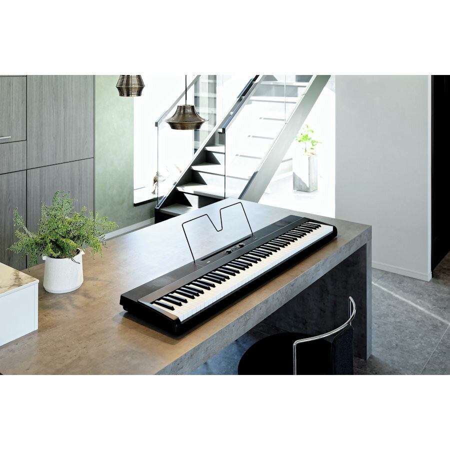 KORG Liano L1SP