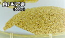 半額 いりごま 500g 業務用送料無料 メール便煎りごま 煎りゴマ 煎白胡麻 ごま