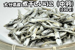 煮干し 中羽 100g送料無料 宅配便いりこ にぼし だし 出汁だし用 出汁用