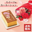 【数量限定】母の日 長崎堂 カステーラと花束のセット 焼き菓子 ギフト 洋菓子 生花 カーネーション 手土産 お菓子 スイーツ セット カステラ プレゼント 人...