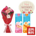 【数量限定】母の日花束 凍らせて食べるフルーツシャーベットゼリー セット ゼリー シャーベット ギフト 洋菓子 生花 カーネーション 手土産 お菓子 スイーツ ...