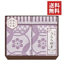 【送料無料】 今治 うらら咲き タオルケット 2P ギフト 今治 日本製 綿100% 上品 やわらかい 爽やか ギフト 内祝い 出産祝い 結婚祝い 出産内祝い 結婚内祝い 引き出物 お返し 香典返し 満中陰志 快気祝い 新築祝 お礼