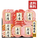 日本ハム 北海道 プレミアム 美ノ国 送料無料 お得 御礼 ギフトお土産 お供え 内祝 ご挨拶 ギフトセット 快気祝 お返し 手土産 プレゼント お返し お中元