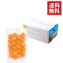 ミヤモトオレンジガーデン 冷凍みかん(皮なし)(1kg) 送料無料 お得 御礼 ギフトお土産 お供え 内祝 ご挨拶 ギフトセット 快気祝 お返し 手土産 プレゼント お返し お中元