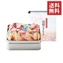 百菓匠まえだ 感謝のきもち【送料無料】米菓 おかき 小分け 個包装 出産 出産内祝い 結婚 結婚内祝い 内祝い 粗品 引き出物 お返し 香典返し 満中陰志 快気...