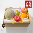 ホシフルーツ おまかせ旬のフルーツ BOX C 【送料無料】 旬 フルーツ 食べ頃 詰合せ 季節のフルーツ 内祝 お返し ギフト お礼 ご挨拶 出産 人気 誕生...