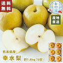 【送料無料】お中元 ギフト 幸水梨 熊本県産 (約1.8kg 6個)【メーカー直送】(出荷期間:7/15頃から8/10前後まで) 梨 熊本 幸水 なし 果物 フ...