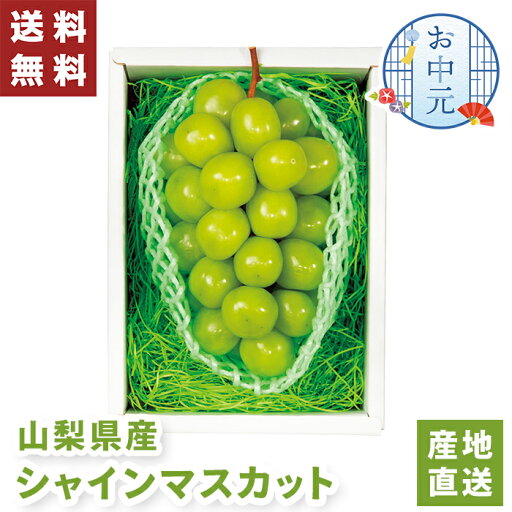 【送料無料】お中元 ギフト 山梨県産 シャインマスカット 【メーカー直送】(出荷期間:7/15頃から8/10前後まで) 産直 マスカット 山梨 贈答用 高級 果物 フルーツ 皮ごと食べられる お取り寄せ 中元 産地直送 お祝い 内祝い お礼 プレゼント 贈り物 お返し 返礼 お供え 【送料無料】お中元 ギフト 山梨県産 シャインマスカット 【メーカー直送】(出荷期間:7/15頃から8/10前後まで) 産直 マスカット 山梨 贈答用 高級 果物 フルーツ 皮ごと食べられる お取り寄せ 中元 産地直送 お祝い 内祝い お礼 プレゼント 贈り物 お返し 返礼 お供え