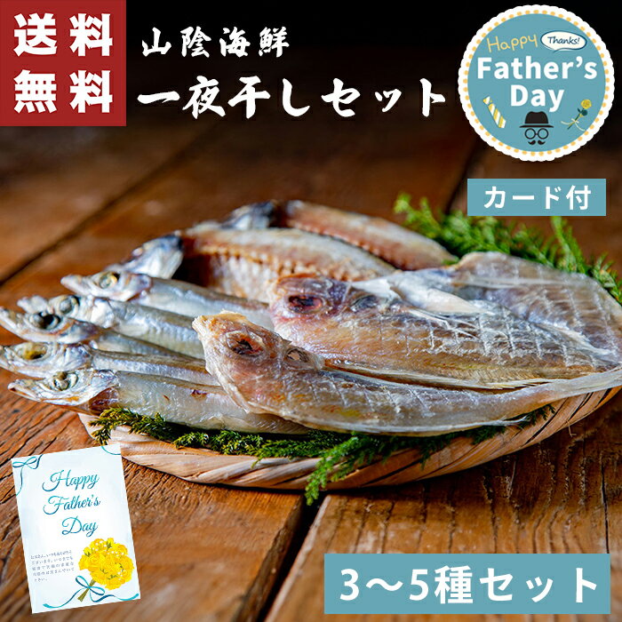 父の日 ギフト 山陰 海鮮 一夜干し セット 【メーカー直送】 父の日ギフト 2025 送料無料 海鮮 海鮮一夜干し 選べる おつまみ 干物 魚 れんこ鯛 ひもの キス あじ かれい かます あじの開き お酒 肴 産直 取り寄せ ひもの 人気 プレゼント お父さん 父親 感謝 贈り物