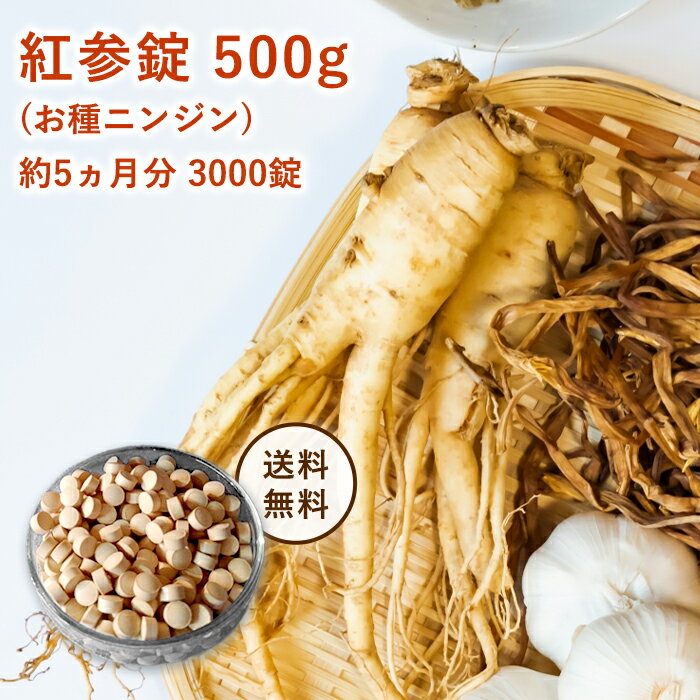 コウライニンジン 高麗人参錠 500g (約5ヵ月分)1袋・紅参錠 高麗人参 6年根 紅参 サプリ サプリメント 朝鮮人参 粒 人参 オタネニンジン おたね人参 サポニン 健康サプリ ストレスケア 高麗 高麗人参サプリ 高麗人参サプリメント 【 健康食品 】 紅蔘 コウジン錠 約3000錠