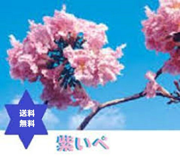 ムラサキイペ 紫イペパウダー500g2袋（1kg)・無添加100%紫イペ100%・高圧蒸気滅菌 ...