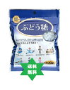 ブドウトウ ぶどう糖100g5袋・ぶどう糖100%・脳の栄養に・ゆうパケット送料当店負担 No.1007.