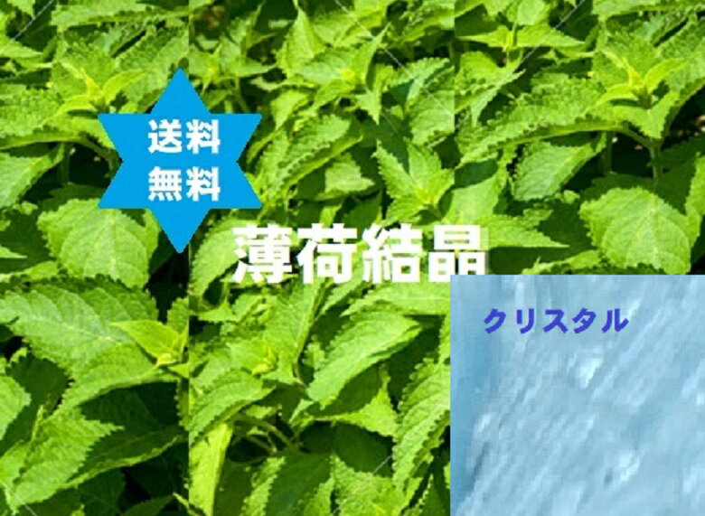 �ϥå������ٷ뾽���� L-���ȡ���500g���å�(����Ǿ�����Х��໶�����ꥹ���롦���饹���ݥ���30ml�����饹���ץ�-5ml���륳-���б��ƴ��Ʊ��)������������ô��ŷ�������¼̵ź�� L-���ȡ���99.5%����Ǿ No.1115.