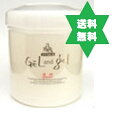 ゲルアンドゲルA ゲル&ゲル薬用トリプルA 500g1個 送料当社負担 ピュア 756