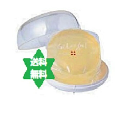 ゲル＆ゲルMDソープAAA100g(ケース付)1箱 GELandgelトリプルA・送料当店負担 770