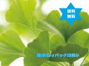 製品仕様 商品名 イチョウヨウ500g1袋・銀杏葉茶100％葉部位（小枝入らず)焙煎 TB用3mm刻・送料当社負担 名称 イチョウヨウ500g1袋・銀杏葉茶100％葉部位（小枝入らず)焙煎 TB用3mm刻・送料当社負担 商品区分 健康食品・分割販売(零売)オリジナルサプリメント 生産国 中国(加工地日本) 内容量 イチョウヨウ500g1袋・銀杏葉茶100％葉部位（小枝入らず)焙煎 TB用3mm刻・送料当社負担 使用期限 使用期限に付、平成26年厚生労動省医薬食品局総務課の行政指導による。 保存方法 室温 原材料/商品内容 銀杏葉部位をTB3mm刻み（テイバック用)エキス分を浸出しやすく加工・焙煎済・送料当社負担 商品説明 イチョウ葉は、世界中で愛用されていると言われる薬用植物（西洋ハーブ）です。 サプリメントとして利用されている国も含めて、世界55ヶ国以上の国において、大きな信頼＆実績を築いています。 ●焙煎茶は重金属が消滅しており、熱にて滅菌もされ、安心・安全な健康茶になります。 1.・・症に対する認知・・・に対する効用。 2.・・・・・・による歩行時の痛みの効用。 3.・・・・・・による色認識の効用。 4.回転性のめまい症状の効用。 ●注意 ・ホルモンに影響したり、分娩を誘発したりする可能性があり、出血しやすくなる可能性も在る為、妊娠中の使用は避けましょう。 ・母乳中の移行性等、授乳中の安全性に関するデータ不足の為、授乳中の使用も避けましょう。 ・血液が固まり難くなる為、手術時に出血し易くなる可能性が有り、2週間前から飲用中止が望ましいです。 ・ワーファリンやバイアスピリンなどの血液を固まりにくくする薬の作用により、出血しやすくなる可能性が在り避けるのが賢明です。 注意 ・血糖降下薬の代謝に影響し薬が効きすぎたり、効果が弱くなったりして、血糖コントロール不良になる可能性。 ・肝臓の代謝酵素を誘導し抗てんかん薬の代謝を促進し、抗てんかん薬の血中濃度を低下させ、てんかん発作が起こりやすくなる可能性。 ●飲み方 約5～10gをお茶パックなどに入れ1リットルの水で沸騰させた後、弱火で5～6分程煮出して召し上がりください。 急須やティーポットでもお飲みいただけます。 【許認可証】 ・◎医薬品販売業 ・◎既存薬種商 ・◎高度医療機器等販売許可証(許可番号第90715号) ・◎管理医療機器販売業届出済証(8薬第215号の12) ・◎食品製造業(健康食品)届出0831391026第26号京都市南保健所 ・◎美容師免許 【ご注意】 ・予告なく商品パッケージが変更される場合がございます。 ・使用上の注意をよく読んだ上でそれに従い適切にご使用ください。 ・本人又は家族がアレルギー体質の人や、薬によるアレルギー症状を起こしたことがある人は、使用前に医師又は薬剤師に相談してください。 ・しばらく使用しても改善がみられないときは使用を中止し、この製品を持って医師又は薬剤師に相談してください。 ●●●日時指定は出来ません。不在や3日以上未着時には至急、最寄りの郵便局に伝え、ご希望日時をお知らせ願います。●● 広告文責 くすり屋　075-661-7677 分割販売(零売) （有）三栗商事（京都府京都市南区東九条烏丸町35番地） 　