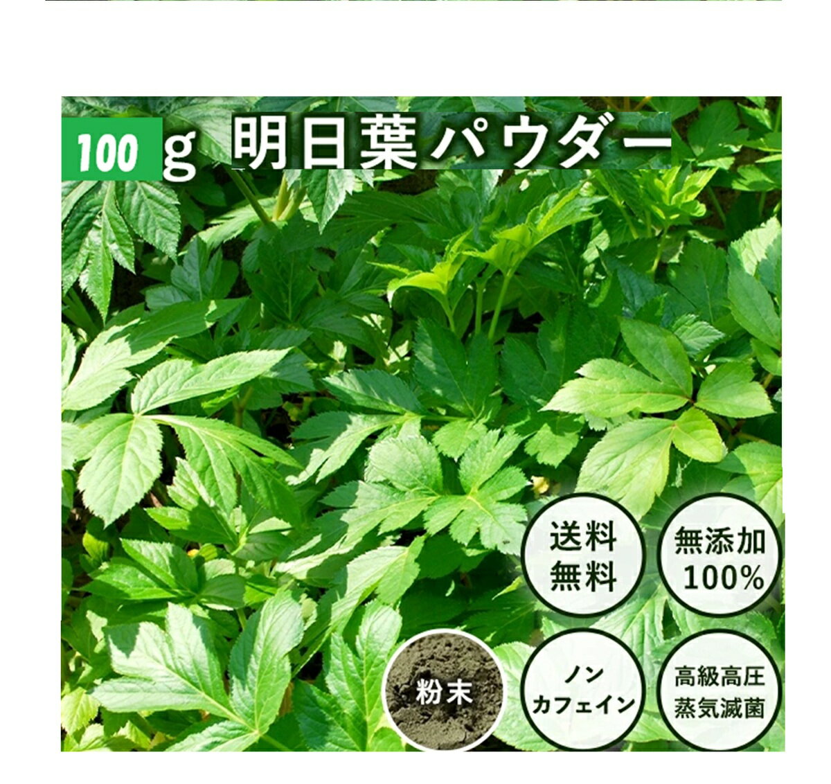 【健康食品】 アシタバ 明日葉国産パウダー 100g 1袋 あしたば 青汁 明日葉 粉末 明日葉茶 あしたば茶 パウダー 粉 無添加 粉茶 粉末緑茶 健康茶 ノンカフェイン お茶 食物繊維 子供 健康飲料 明日葉青汁 あしたば粉末 おいしい青汁 野菜不足 健康飲料粉末 八丈草 No.425