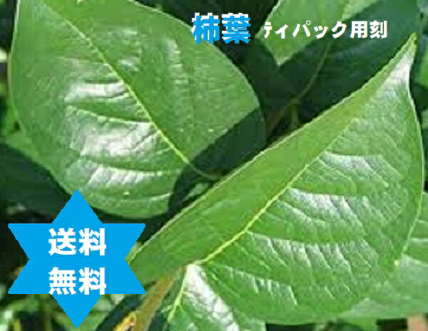 【健康食品】カキヨウ カキバ茶末 500g1袋柿葉小枝無の粉末・送料当店負担・高級焙煎・無添加100％・無農薬栽培。ミネラル豊富。