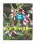 ラフマチャパウダー 羅布麻茶紅茶末 500g1袋 高級焙煎無添加 送込 ・・・・サポ－ト No.602.