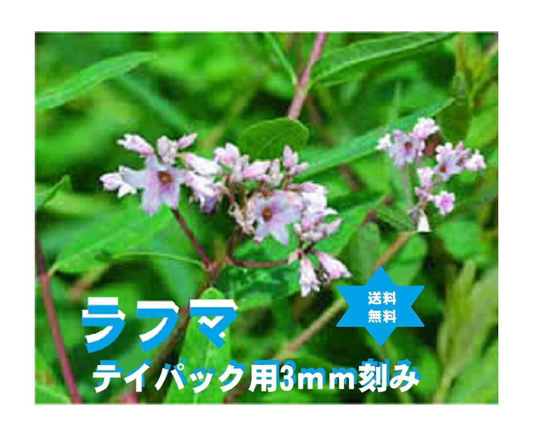 ラフマ　ラフマ茶 TB用 500g1袋 羅布麻茶紅TB用(ティバック用3mmカット)焙煎済・送料当社負担・無添加・培煎により老化の防止等、活性を強くサポート。No.601.