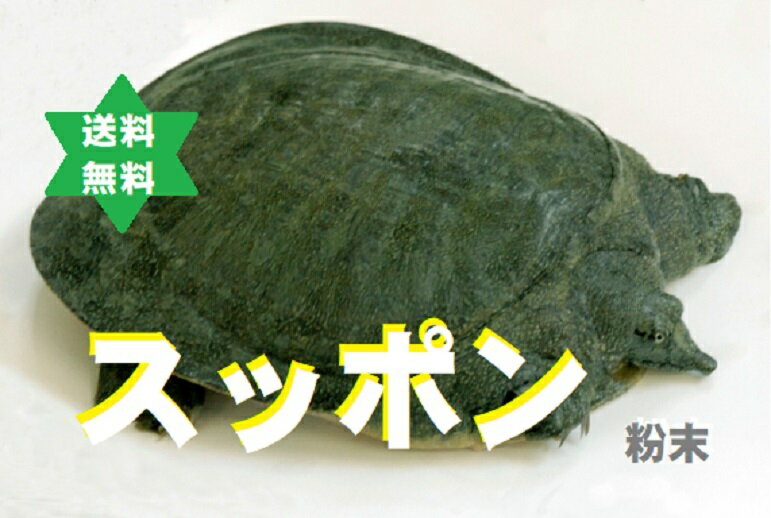 スッポンパウダー　500g1袋 台湾産(加工地日本) 無添加滅菌100％ 歩く漢方薬 ●税送料込