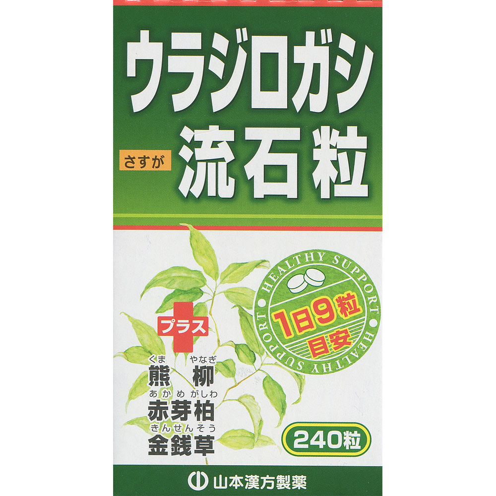 ウラジロガシ　流石粒　60g　250mg×240粒　2個　健康食品