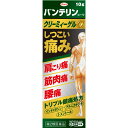 興和新薬　バンテリン　コーワ　クリーミィーゲルα 10g　2個　　【第2類医薬品】　※税控除対象商品　外用薬　肩こり　腰痛　筋肉痛　医薬品　医薬部外品　【あす楽対応】