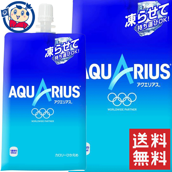 【2ケース送料無料】コカ・コーラ アクエリアスハンディパック 300ml×60本 ※北海道沖縄その他一部地域は送料無料対象外