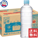 アサヒ おいしい水 天然水 ラベルレスボトル 600ml×24本入×2ケース