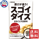 大塚食品 スゴイダイズ 125ml×24本入×2ケース