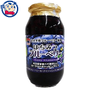 加藤美蜂園 はちみつブルーベリー 650g×6個入×1ケース