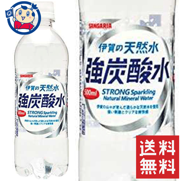 送料無料 サンガリア 伊賀の天然水強炭酸水 500ml×48本 計2ケース