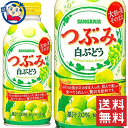 サンガリア つぶみ白ぶどう 380g×24本×2ケース(4)