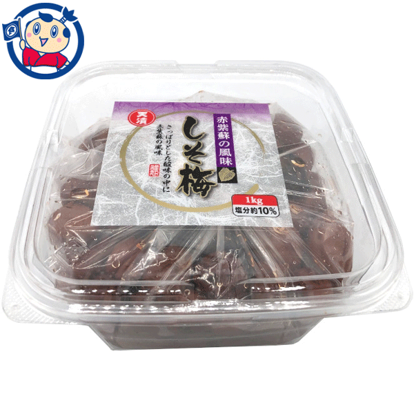 【ふるさと納税】紀州南高梅 花のうめ しそ漬け 1kg