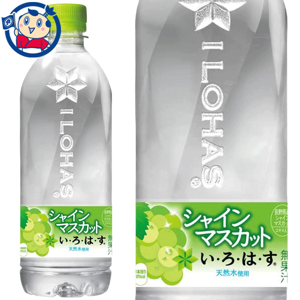 コカコーラ いろはす シャインマスカット 540ml×24本×2ケース 発売日：2022年12月5日