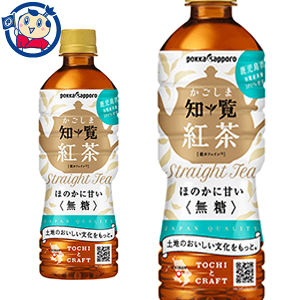 ポッカサッポロ かごしま知覧紅茶無糖 520ml×24本入×2ケース 発売日：2022年9月12日