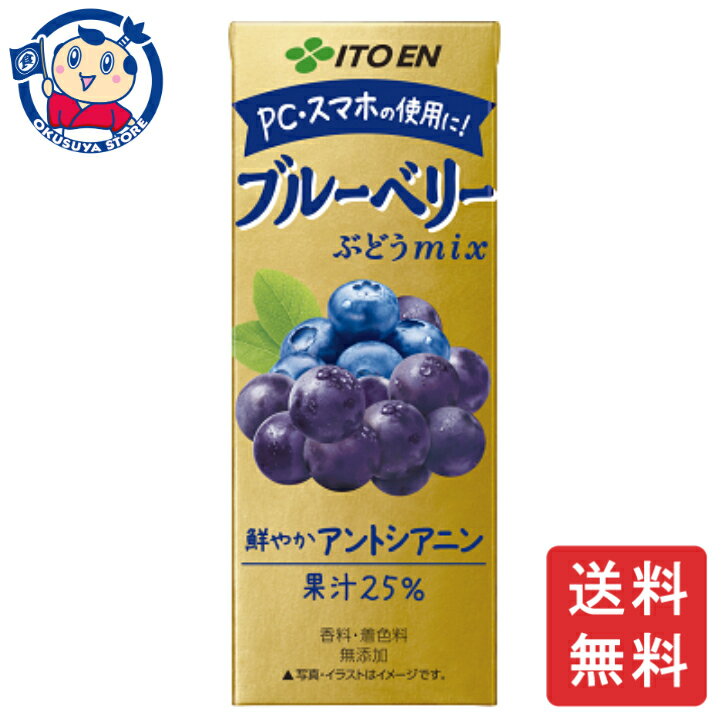 伊藤園 ブルーベリーぶどうmix 紙パック 200ml×24本入×1ケース