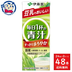 伊藤園 毎日1杯の青汁 まろやか豆乳ミックス 紙パック 200ml×24本入×2ケース