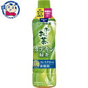 伊藤園 お～いお茶 カテキン緑茶 500ml×24本入×2ケース 発売日：2023年9月4日