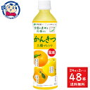 伊藤園 ニッポンエール 国産かんきつ三種ブレンド 400g×24本入×2ケース 発売日：2024年3月18日