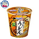 サンヨー サッポロ一番 カップスター カレーうどん 80g×12個入×2ケース 発売日：2023年10月10日