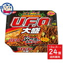 日清 焼そばUFO大盛 167g×12個入×2ケース