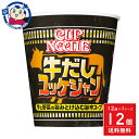 日清 カップヌードル 牛だしユッケジャン ビッグ 103g×12個入×1ケース 発売日：2024年3月11日