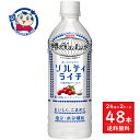 キリン 世界のKitchenから ソルティライチ 500ml×24本×2ケース